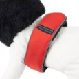 522b-dog-coat-with-a-soft-collar (2)