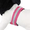 532b-dog-coat-with-a-double-collar (1)