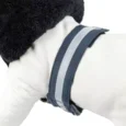 535a-dog-coat-with-a-double-collar (1)