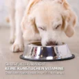Lifestyle-Hunde_12KgXqJ9Hc59Nz9