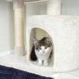cat-tree-ct08 (1)