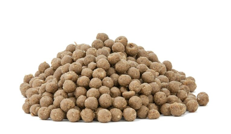 trainers-beef-meatballs-dog-treats-200g (1)