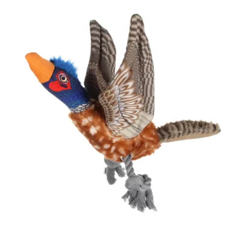 Σφυρίζοντας Φασιανός Wingo με σχοινί Flamingo