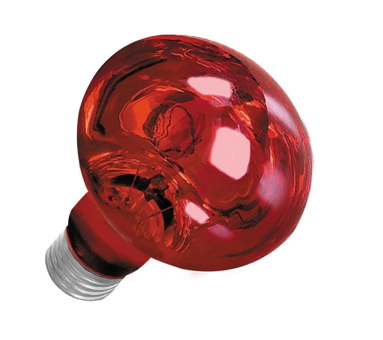 zarowka-terra-night-heat-uva-happet-25w (2)
