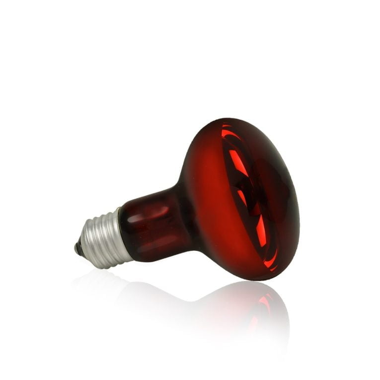 zarowka-terra-night-heat-uva-happet-25w