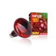 zarowka-terra-night-heat-uva-happet-50w