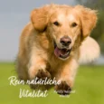 AF_Funktions-Snack_Probiersnacks_Lifestile_2024