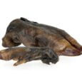 boar-hooves-2-pieces (1)