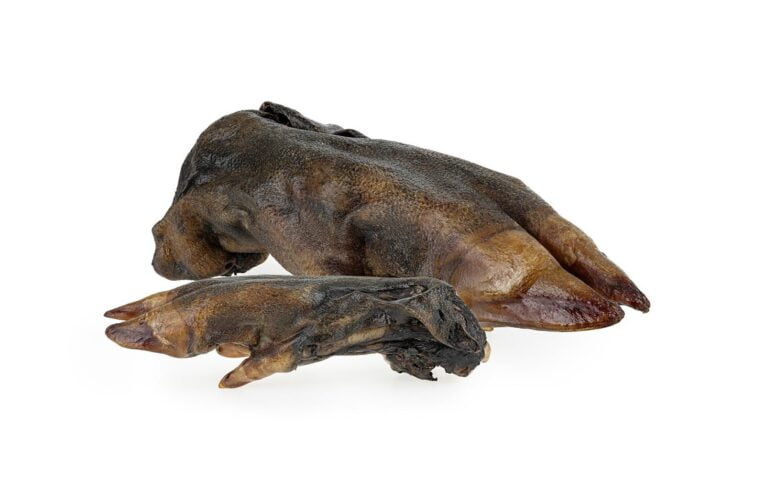 boar-hooves-2-pieces (1)