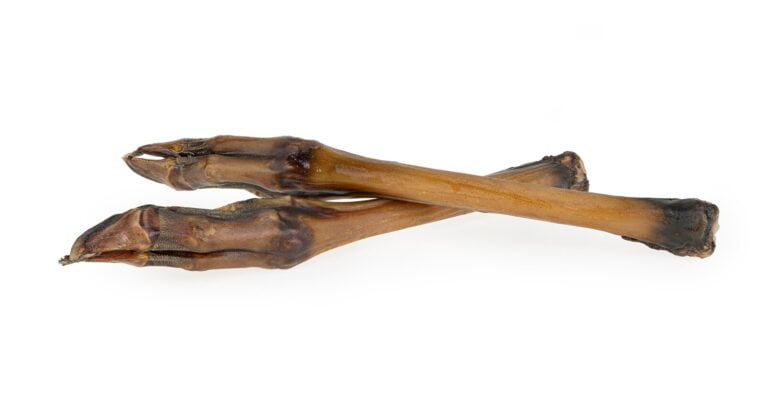 roe-deer-hooves-2-pieces (1)