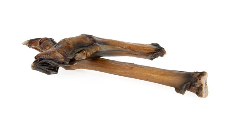 roe-deer-hooves-2-pieces (2)
