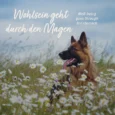 AF_Denta-Snack_Galeriebilder_08_Lifestyle