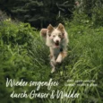 AF_Z-Season_Snack_Galeriebilder3