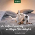 AniForte_MagenSanft_Galeriebilder_1200x1200px_Lifestyle