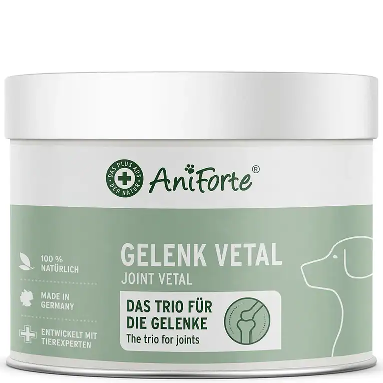 Galeriebilder_Gelenk_Vetal_63798ba5-0214-4ce9-8158-9b63d449d15a (1)