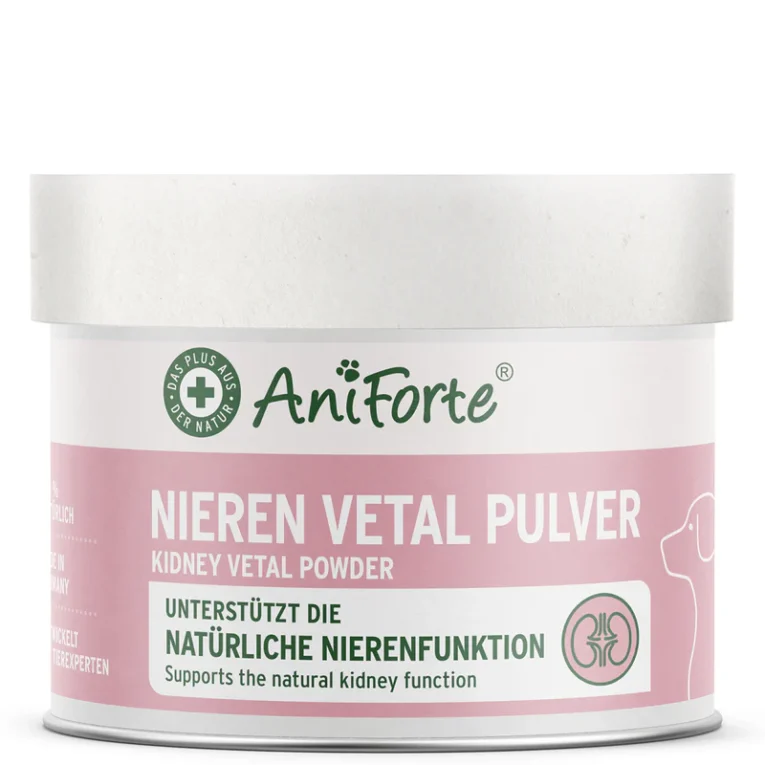 Galeriebilder_Nieren-Vetal2024
