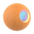 gre_pm_Interactive-Cheerble-Wicked-Ball-for-Dogs-orange-37971_1
