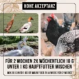 AF_FarmLife_WermiX_Gefluegel_Galeriebilder_1200x1200px_05_fuetterungsempfehlung