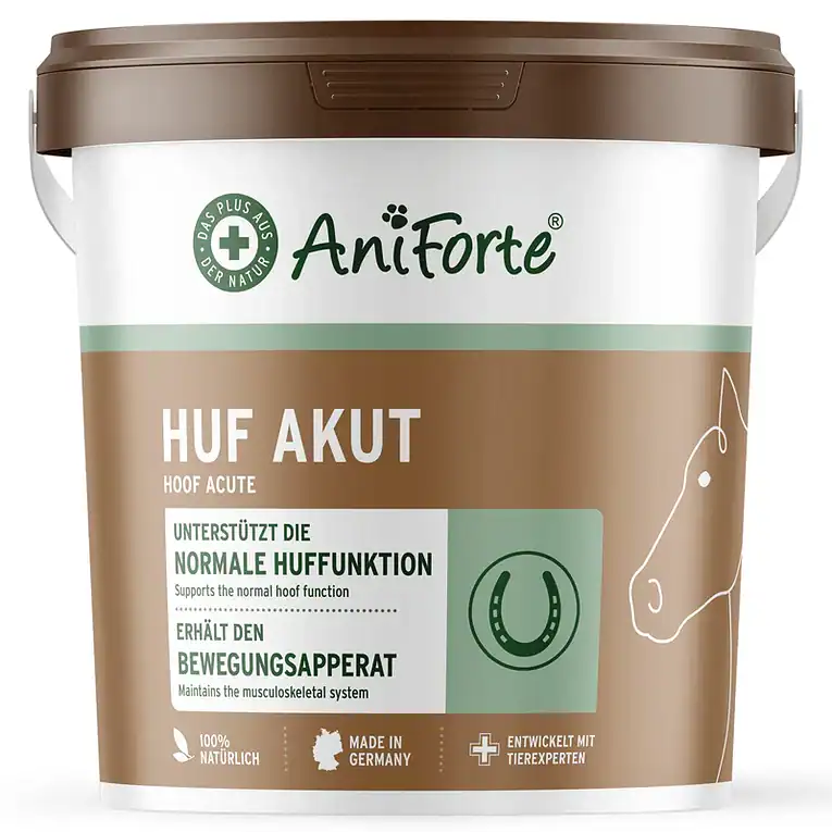 Huf_Akut_Galeriebilder_ND24_master