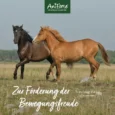 MSM_Galeriebilder_1200x1200px_Lifestyle_Pferde