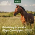 ReDesign_Flohsamenschalen_Pferde_Galeriebilder_1200x1200px2