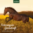 Weidenrinde_Galeriebilder_1200x1200px_Lifestyle_3ba7b64f-251a-4825-9f08-145caf9afd64