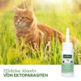 lifestyle_2400x2400px_300dpi_Ectoprotex-Spot-on_Cat