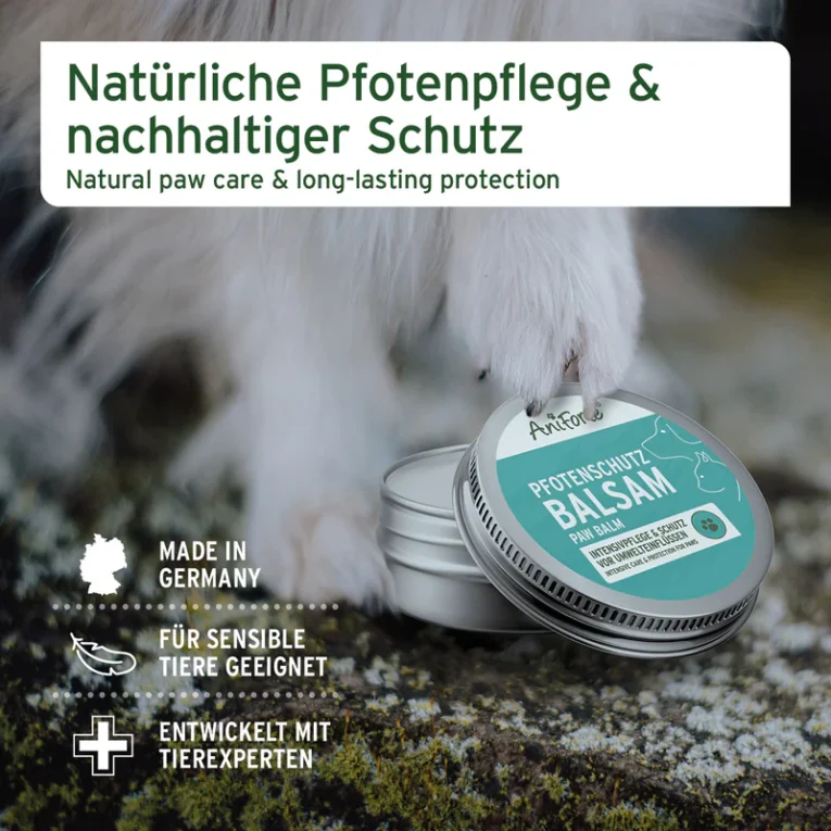 Galeriebilder_Pfotenschutz_Balsam_60g4