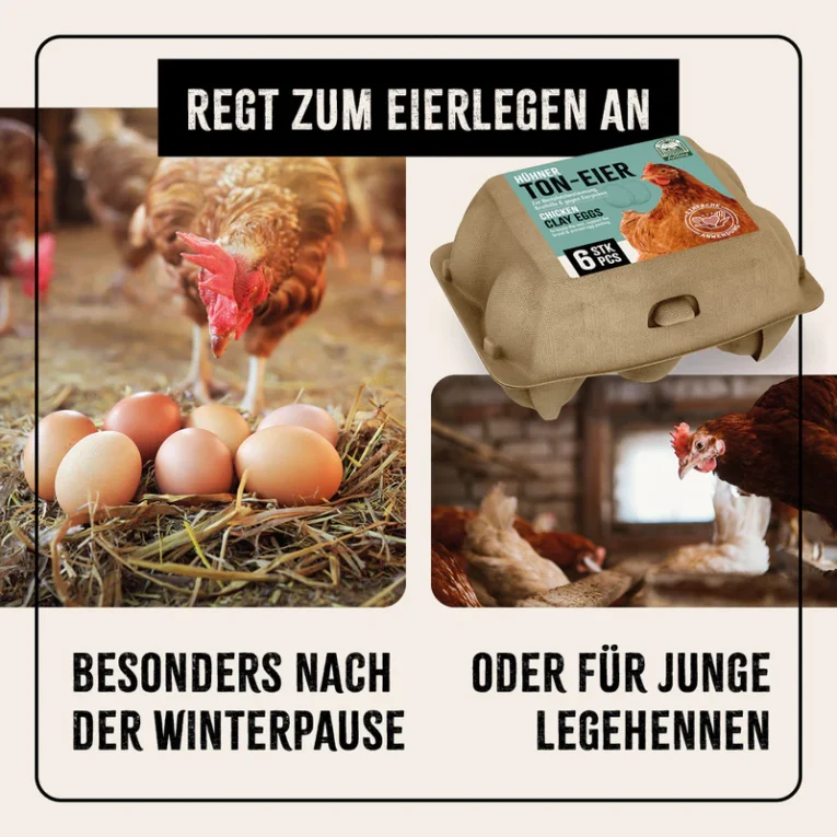 Ton_Eier_Galeriebilder_1200x1200px_2024_07