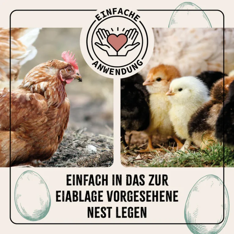 Ton_Eier_Galeriebilder_1200x1200px_2024_08