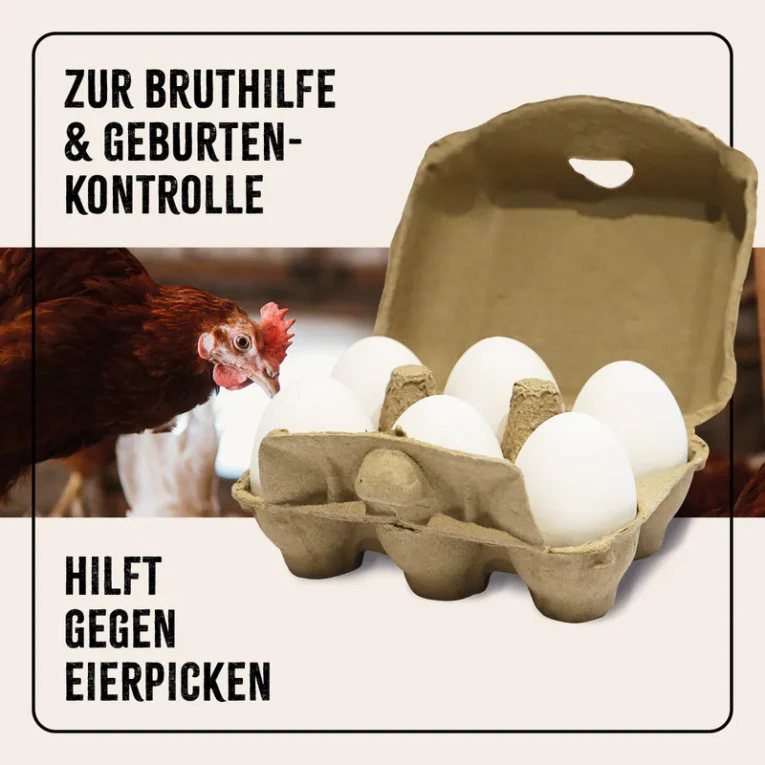 Ton_Eier_Galeriebilder_1200x1200px_2024_09