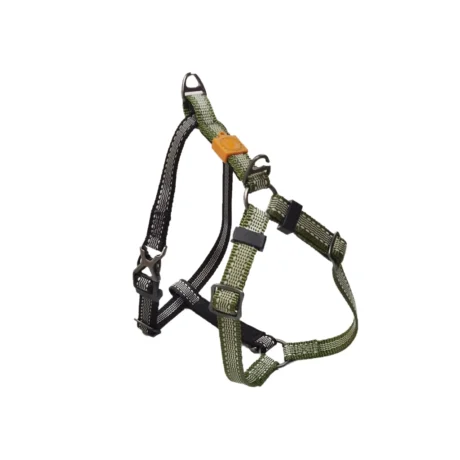 AFP Off Street - Dog Non-Pull Harness