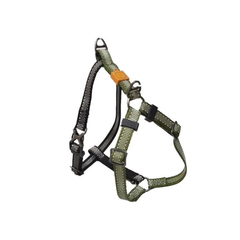 AFPH07018+1-main