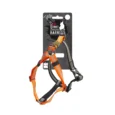 AFPH07026-main