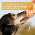Galeriebilder_Gras-_Kotfresser-Snack_1200x1200px_ND246