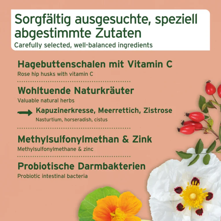 Galeriebilder_Immun_boost-Snack_1200x1200px_ND245
