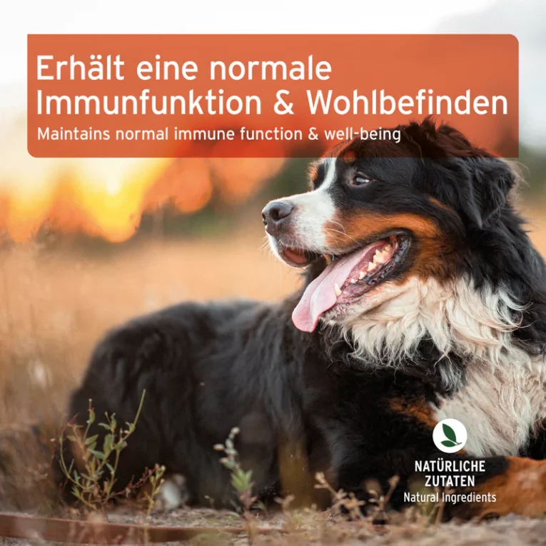 Galeriebilder_Immun_boost-Snack_1200x1200px_ND247