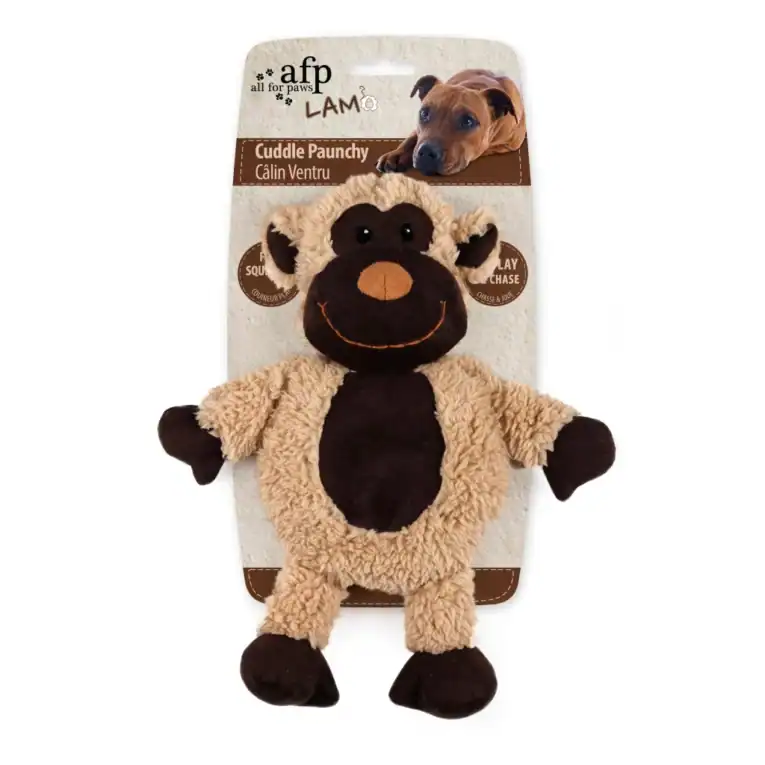 AFPH03102-MONKEY-main