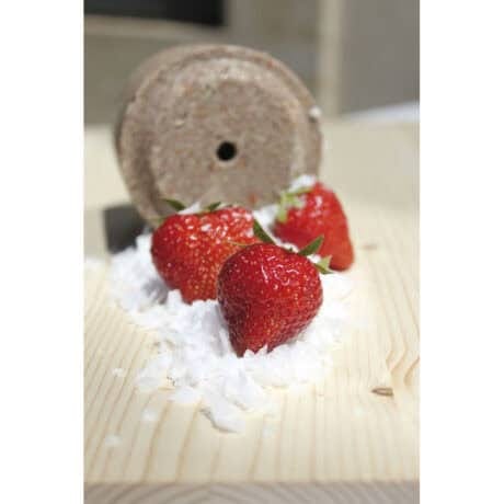 Officinalishorses – ΑΝΤΑΛΛΑΚΤΙΚΟ LollyRoll - χαρούπι, μολόχα και φράουλες