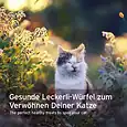 Cat_soft_snacks_Ente_Galeriebilder_ND245