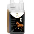 EQUI0001B-main