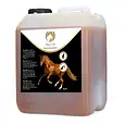 EQUI0001B2-main