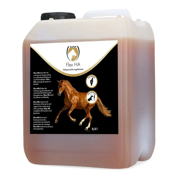 EQUI0001B2-main