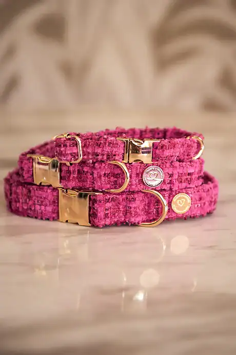 Floofs and Cookies Chloe Collar
