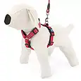 -soft-style-harness-xl-red-2-5-cm