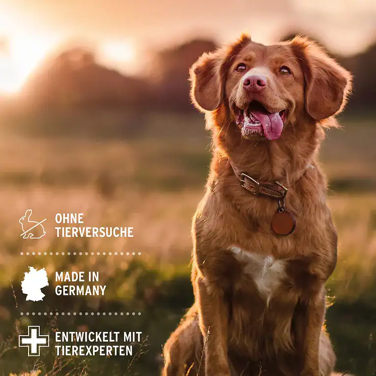 Galeriebilder_Fellharmonie_Pflegespray_Kokos_ND245