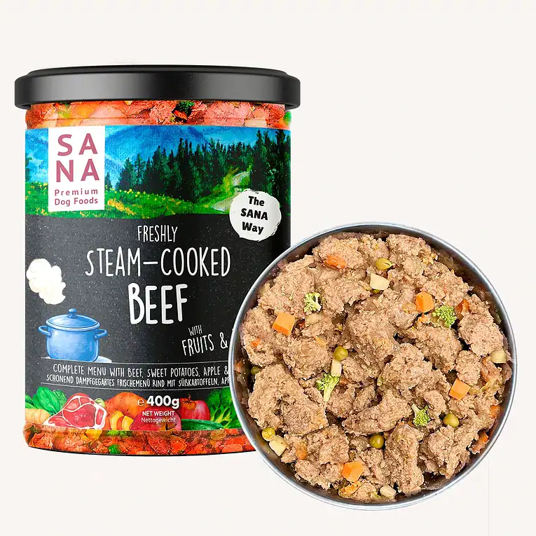 sana-jar-beef-01jpg-26739